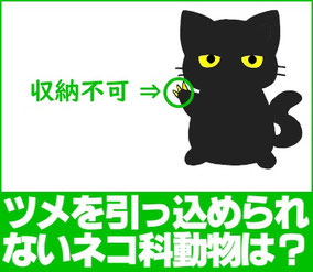 ネコ科の中でツメを引っ込められない動物は？