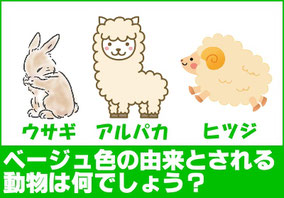 ベージュ色の由来とされる動物は何でしょう？