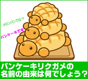 パンケーキリクガメの名前の由来は何でしょう？