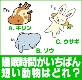 睡眠時間が一番短い動物は何でしょう?