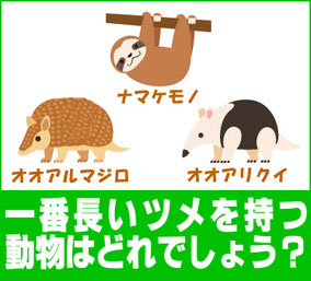一番長いツメを持つ動物は何でしょう?