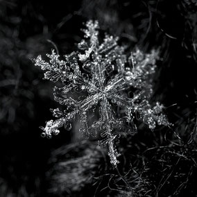 Snowflake symmetries