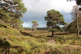 Am Weg zum Devil's Point
