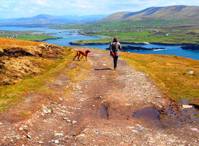 Weg zurück nach Portmagee