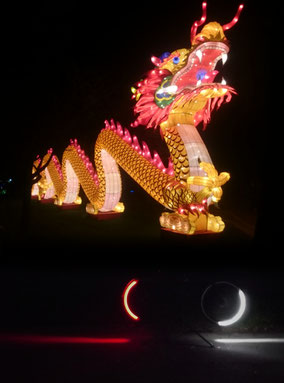 Fotomontage: Revolights im Allwetterzoo Münster vor "Chinesischen Lichtern"