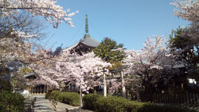 Honpou-ji in Nishijin