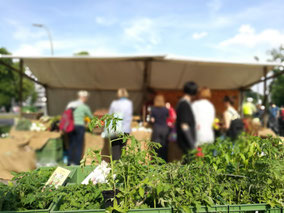 Top 5 weekly organic market in Berlin