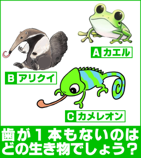 歯がまったく無いのはどの生き物？