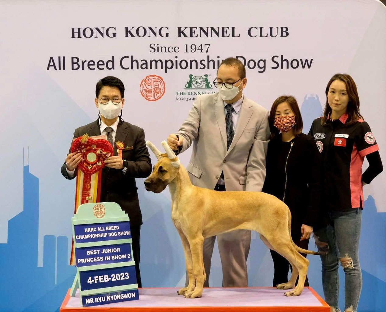 Dog Show 2023 グレートデンブリーダーCROWN JEWEL KENNEL