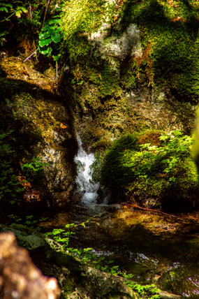 Parco Nazionale d'Abruzzo