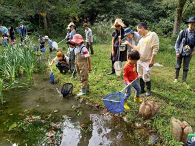 ため池には様々な生き物が住んでいる