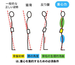 骨盤前傾・膝の角度・脊柱の生理的湾曲は、重心を集約するための必須条件