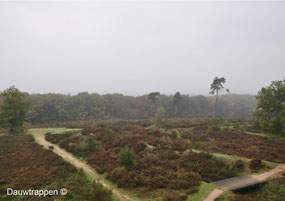 heide