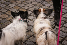 Pearl und Papa Prinz