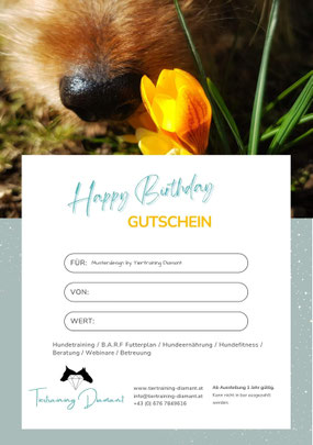 Ein für den Anlass Geburtstag gestalteter Wertgutschein von Tiertraining Diamant mit dem Designelement einer schwarzen Hundeschnauze im Close‑up, die neugierig an einem gelben Krokus schnuppert