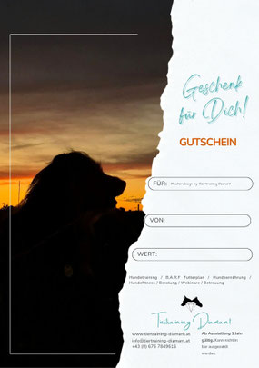 Geschenkgutschein mit Motiv eines farbintensiven Sonnenuntergangs, im Vordergrund die Silhouette eines ruhig posierenden Langhaarhundes im Profil, bereitgestellt von der Salzburger Hundeschule Tiertraining Diamant