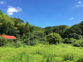 長崎県でソーラーシェアリング