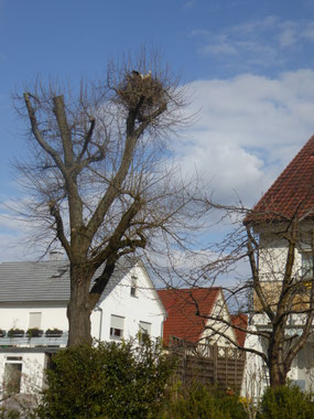 Nest in Dornheim in der Bahnhofstraße "mitten uff de Gaß"