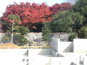 基礎工事と紅葉の庭
