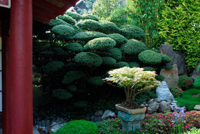 ''Japan-Alpin-Garden'' Gerda und Horst Schubert in Neuenburg