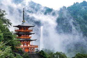 写真提供：(公社)和歌山県観光連盟