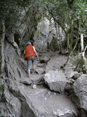 Bild: Fußweg zu Château de Peyrepertuse - Katharerburg Peyrepertuse 