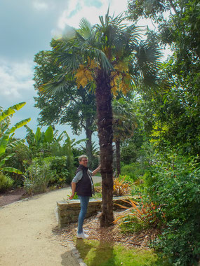  Bild: Le Jardin de la Retraite   - Botanischer Garten in Quimper   