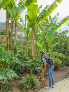  Bild: Le Jardin de la Retraite  - Botanischer Garten in Quimper   