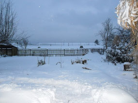 Mein Garten im Winter