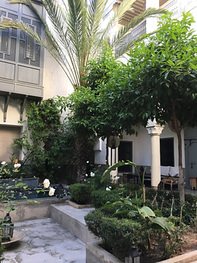 Garden in riad