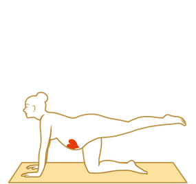 Organ & Chakra Yoga