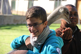 calin avec une autruche pour Bastien