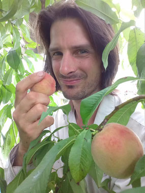 Peaches in the green house