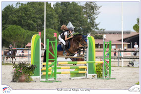 Feel Godd Dance, femelle New-Forest par Mikel (NL) et Quelly Pearl (par Willoway Piper's Bay)