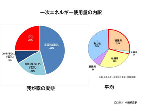 図5 小田桐家の1年間のエネルギー使用実態