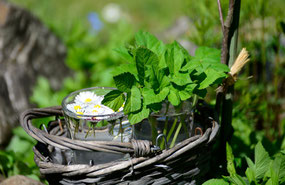 Foto: Congerdesign (Pixabay)