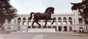 Il Cavallo di Leonardo
