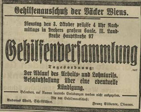 Zeitungsartikel zu Franz Silberer