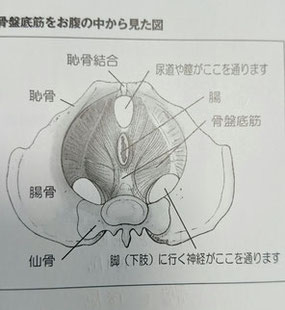 高槻市ママヨガ・ピラティス/ママズバランスヨガのブログ写真