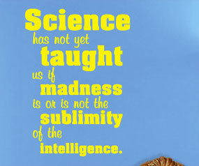 Science has not yet taught us if madness is or is not the sublimity of the intelligence Wall Sticker Quote