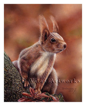 Eichhörnchen auf einen Ast in Pastell gezeichnet 