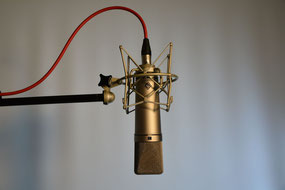 Mikrofon, FOTO: MiO Made in Oldenburg®, www.miofoto.de 