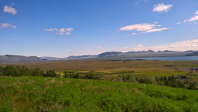 La reforestation en Islande est en marche