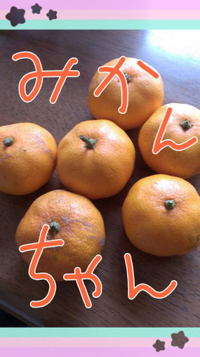 ころころ・・・ころっ