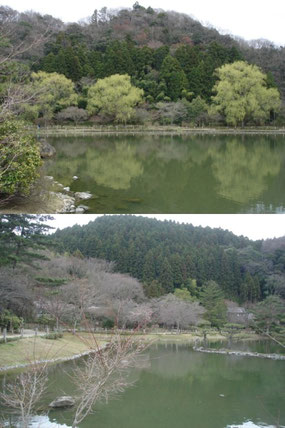 浄土庭園 (2010年4月11日)