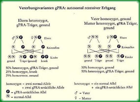  Quelle: Ruhr-Universität, Bochum (Copyright)