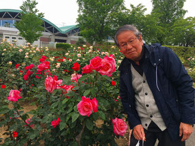 　妻沼道の駅　大倫の薔薇の花