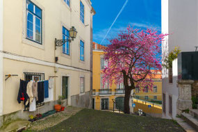 Lisbon Jewish Quarter. One Door... One Story. LisbonJewishTours by Patricia