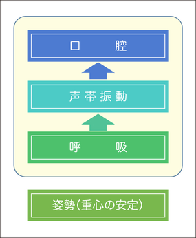 口腔　声帯振動　呼吸　姿勢　重心