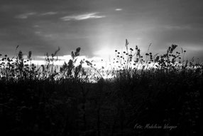 Landschaft, Natur